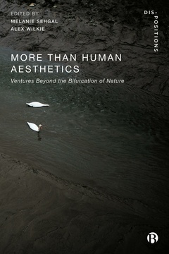 More-Than-Human Aesthetics