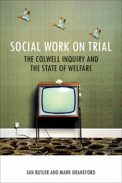 Social Work on Trial